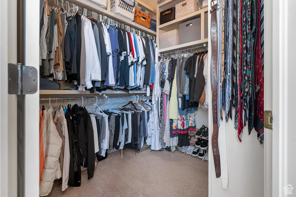 Walk in closet featuring carpet flooring