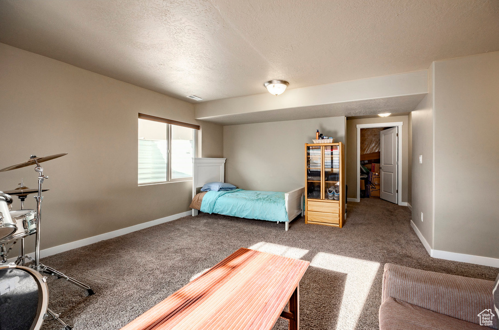 Bedroom with baseboards, carpet flooring, visible vents, and a textured ceiling