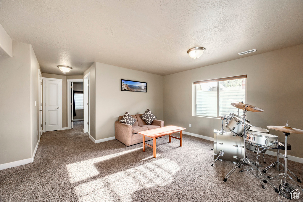 Office featuring a textured ceiling, baseboards, a healthy amount of sunlight, and carpet floors