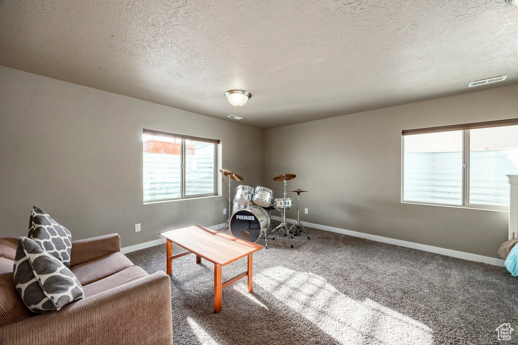 Living area with baseboards, carpet floors, visible vents, and a textured ceiling