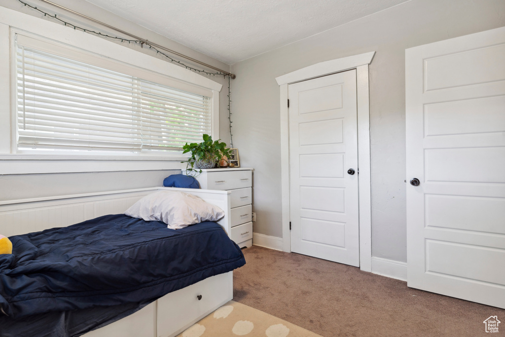 Bedroom with carpet flooring