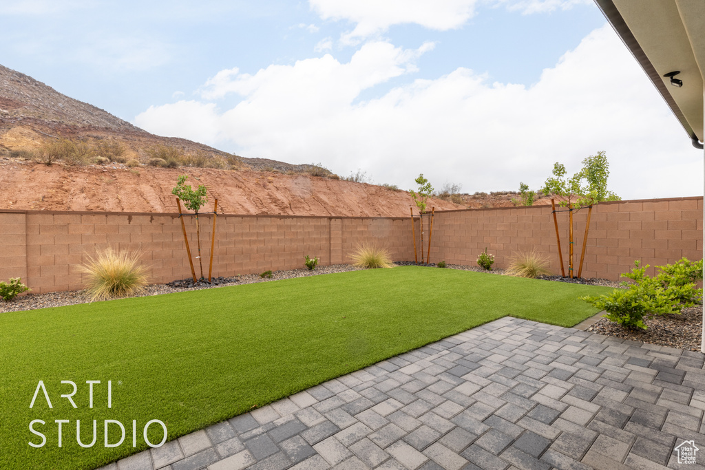 View of yard with a patio area