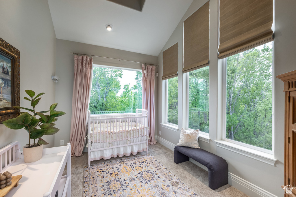 Interior space featuring baseboards and lofted ceiling