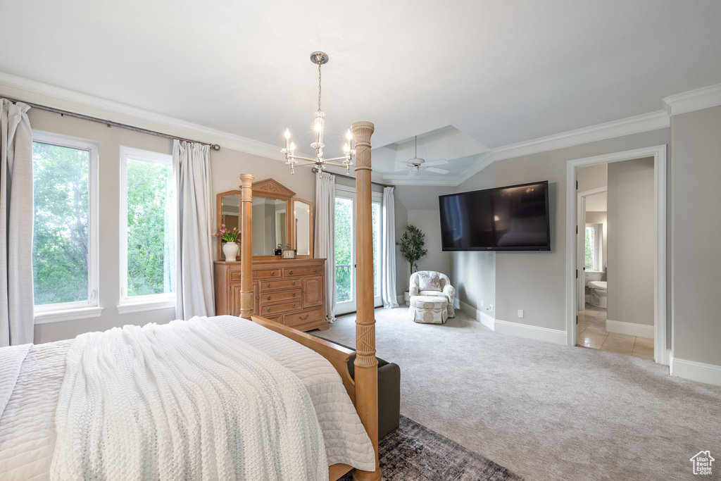 Bedroom featuring multiple windows, baseboards, and ornamental molding