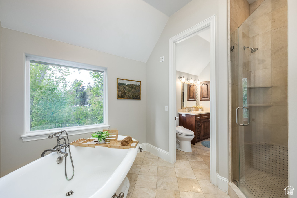 Full bathroom featuring vanity, a wealth of natural light, lofted ceiling, and a stall shower