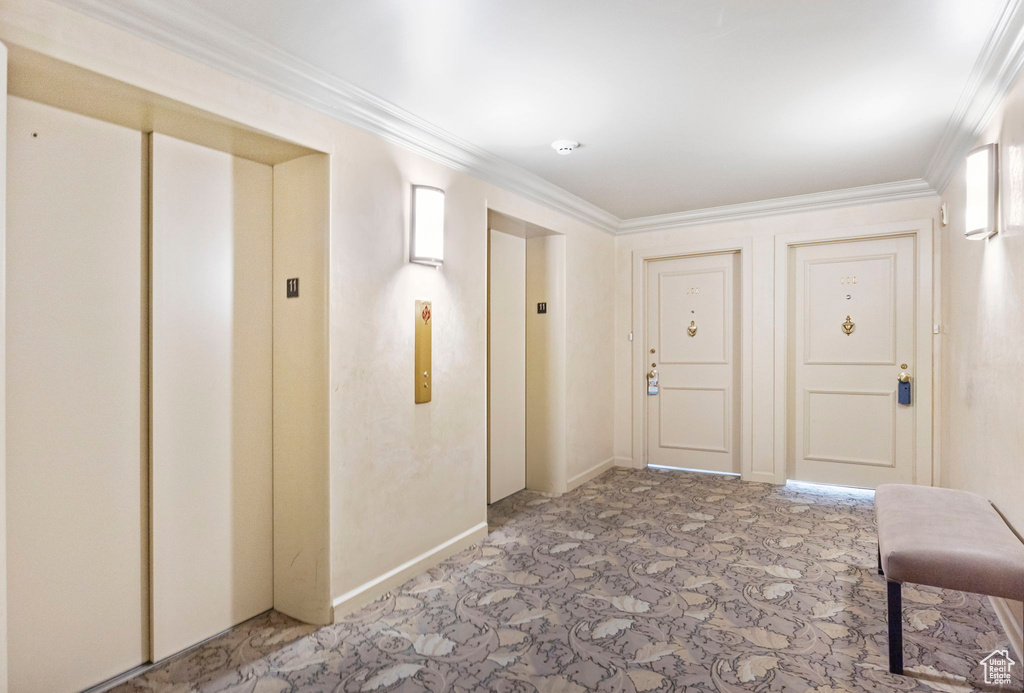 Corridor with elevator, baseboards, ornamental molding, and carpet floors