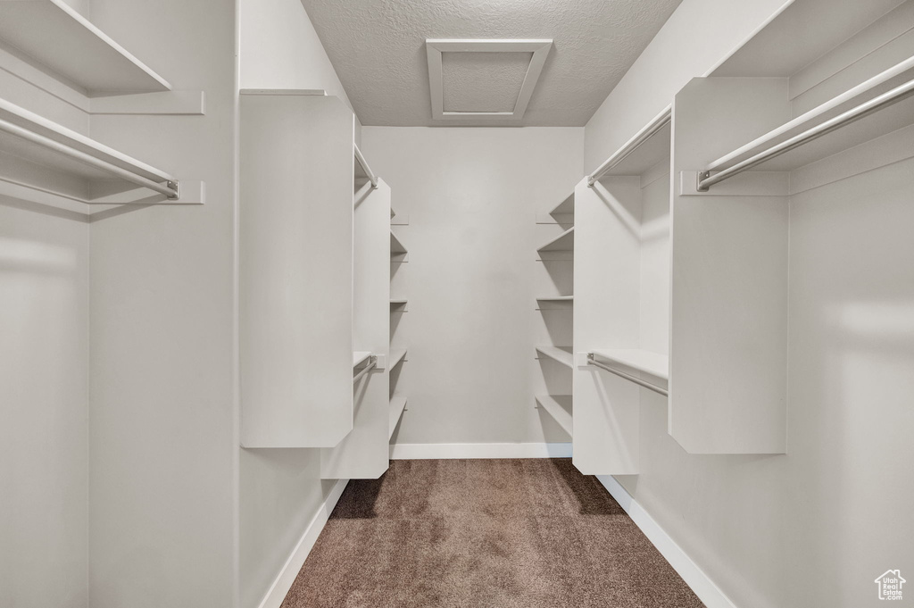 Spacious closet featuring dark colored carpet and attic access