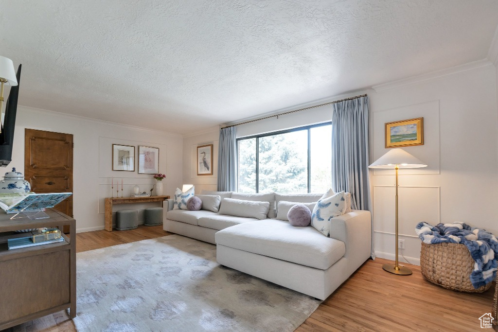 Living room featuring ornamental molding, a textured ceiling, and wood finished floors