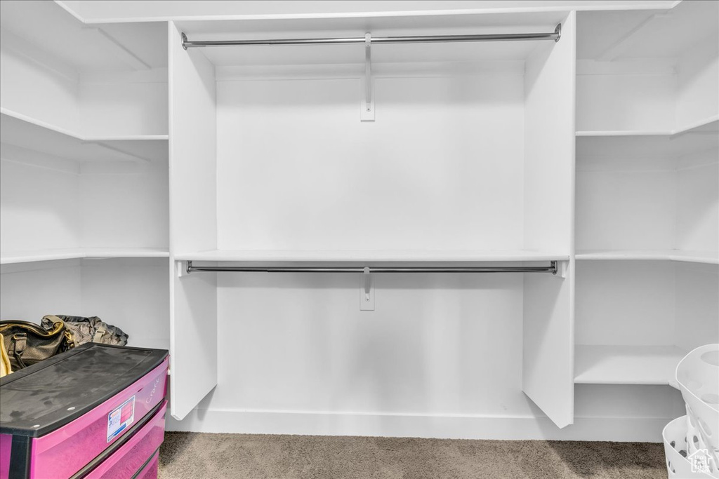 Spacious closet featuring carpet floors