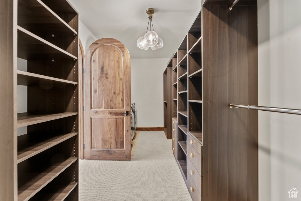 Walk in closet featuring carpet floors