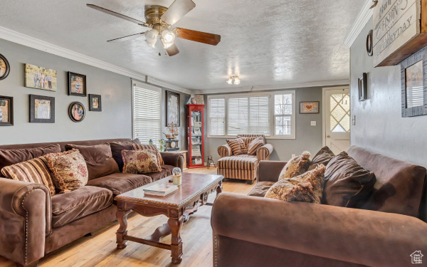 Living area featuring a ceiling fan, light wood finished floors, and crown molding