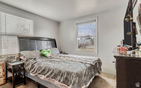 Bedroom featuring carpet flooring and multiple windows