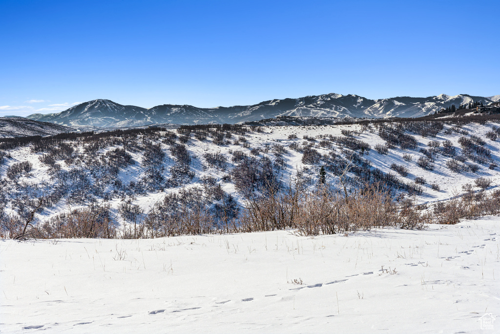 Property view of mountains