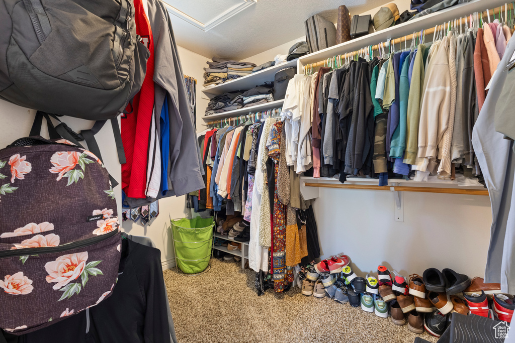 Walk in closet featuring carpet flooring and attic access