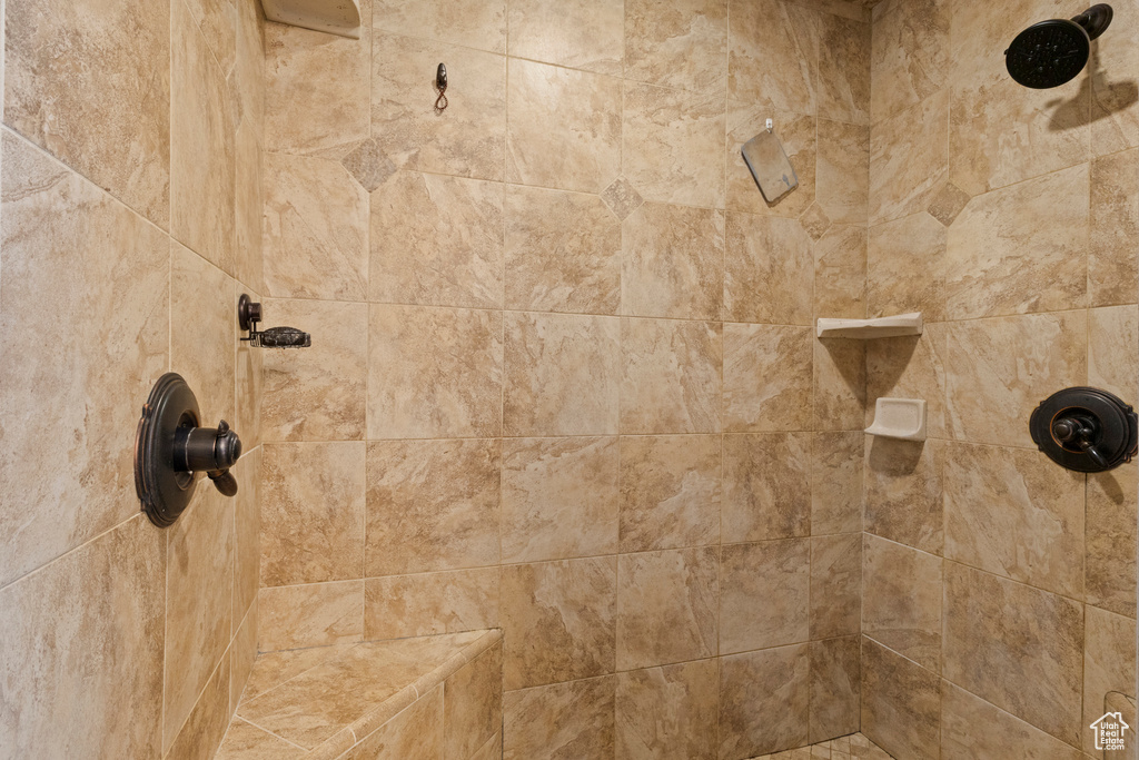 Room details with a tile shower