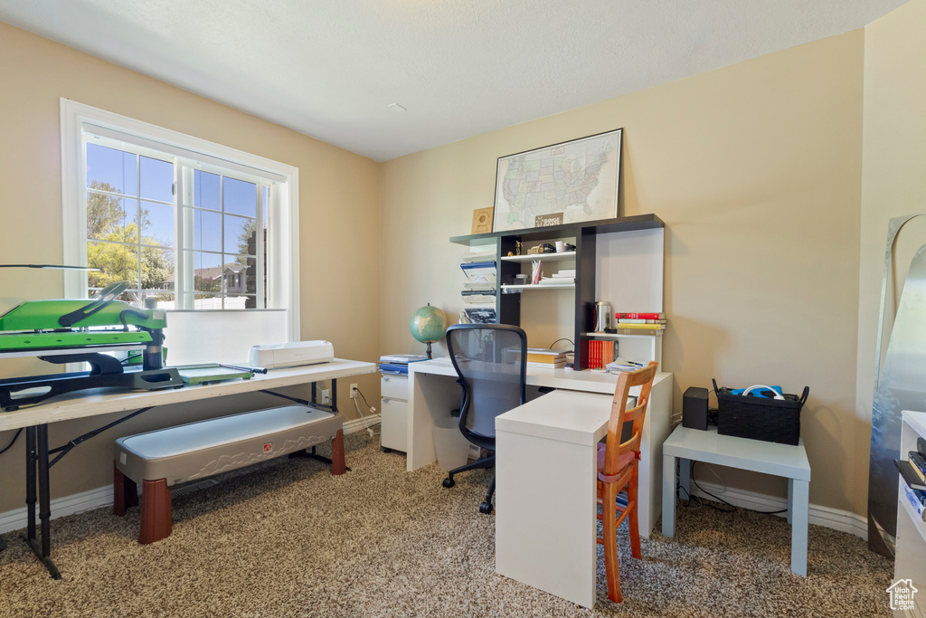 Office space with baseboards and carpet