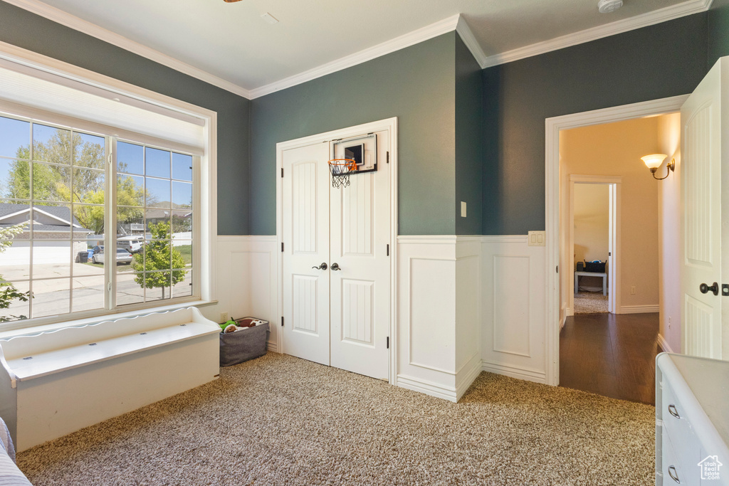 Entrance foyer featuring a decorative wall, wainscoting, ornamental molding, and carpet floors