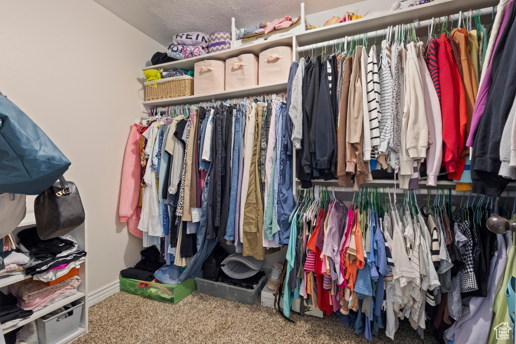 Walk in closet featuring carpet