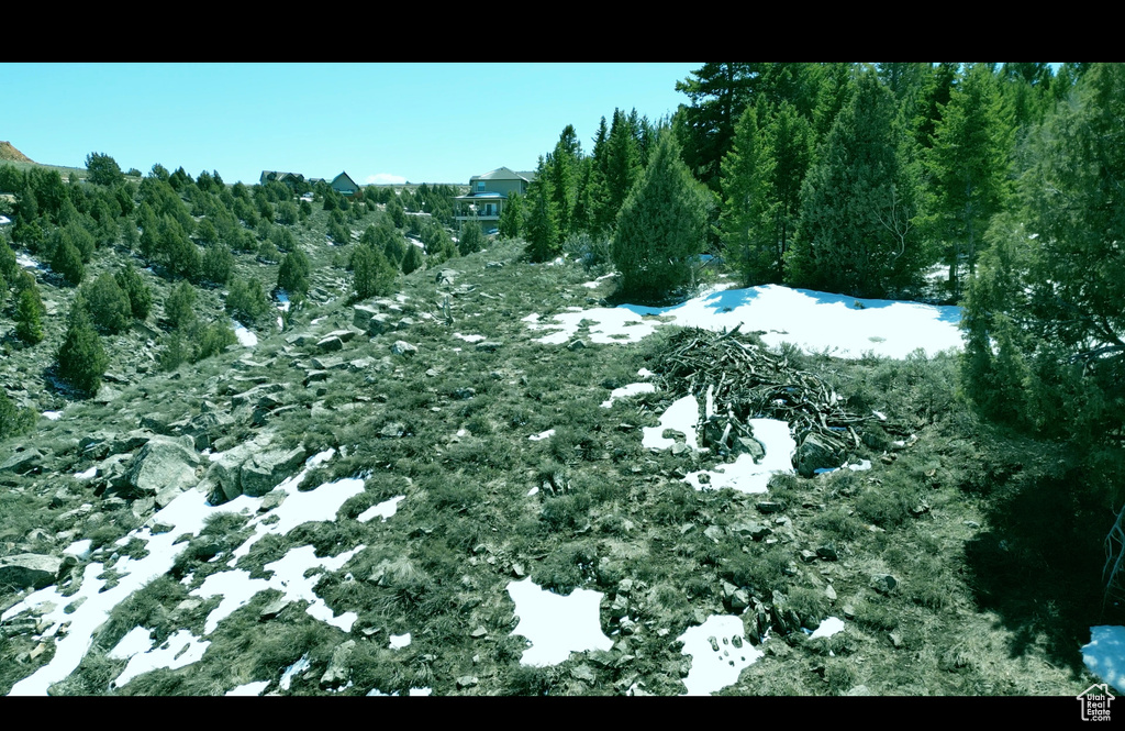 View of snowy landscape