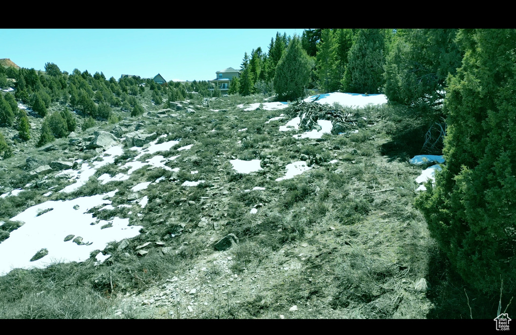 View of snowy landscape