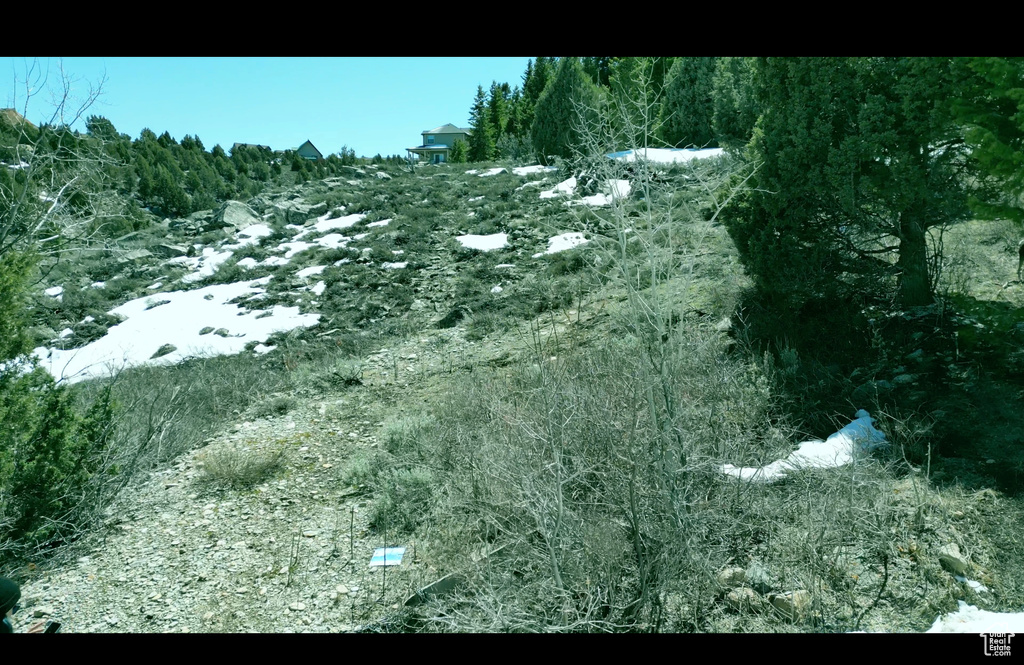 View of snowy view