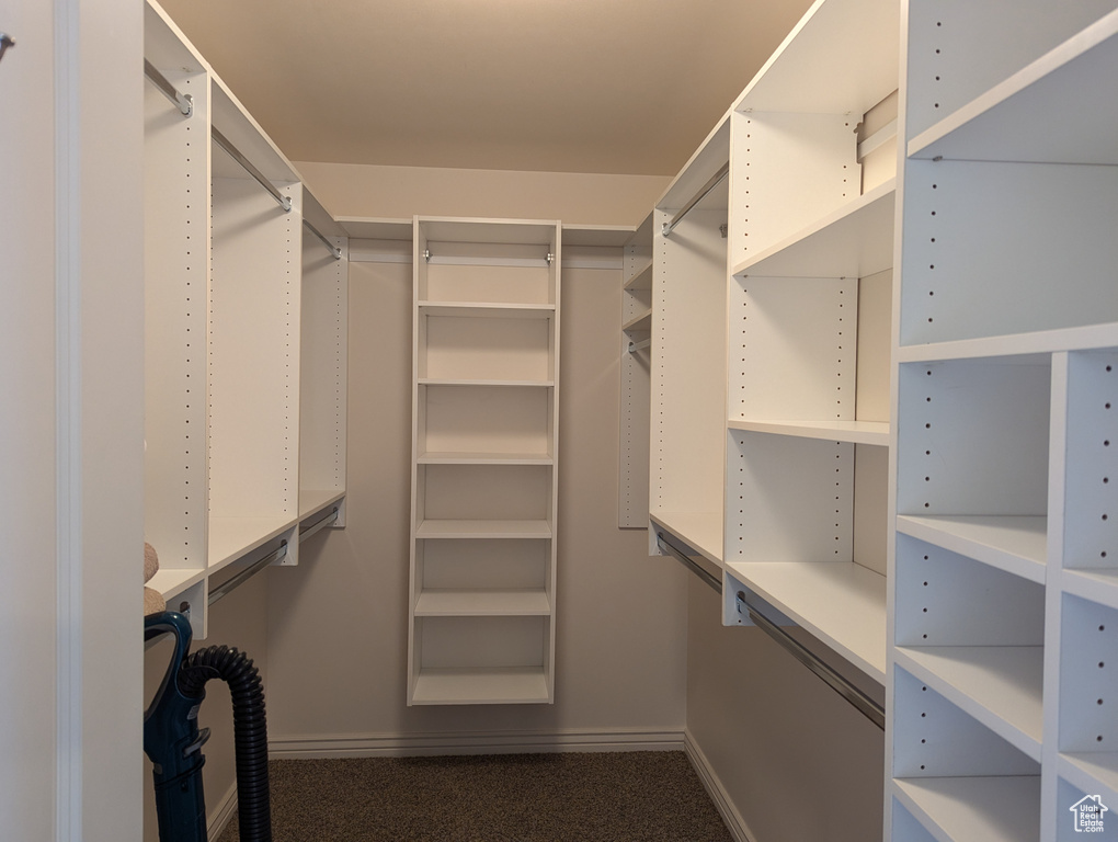 Walk in closet featuring carpet
