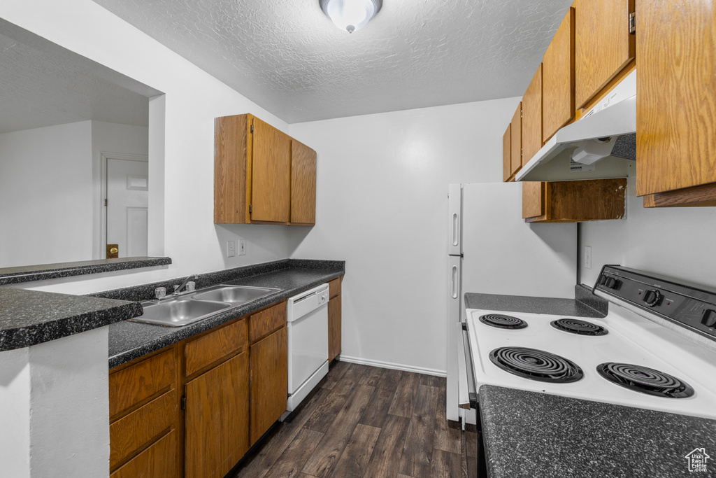 Kitchen featuring brown cabinets, dishwasher, under cabinet range hood, dark wood-style floors, and range with electric cooktop
