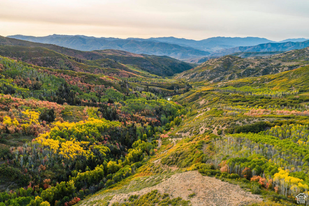 View of mountain feature with a forest view