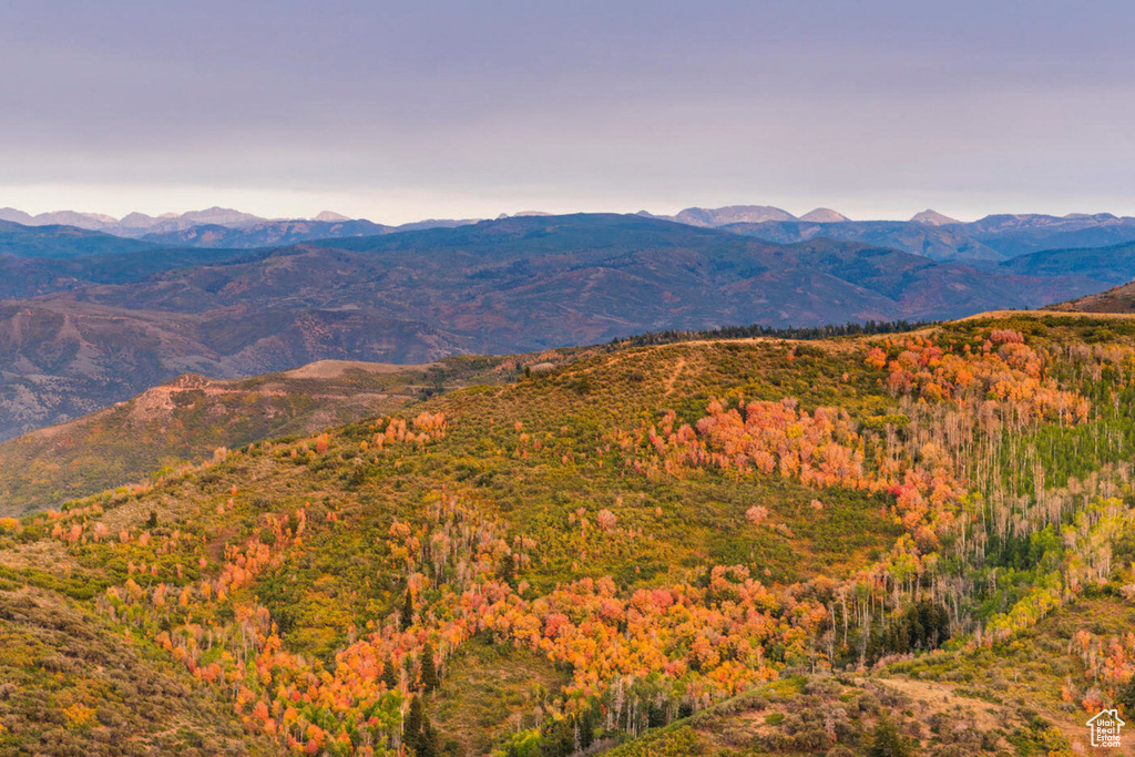 Mountain view with a forest view