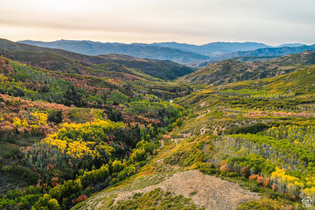 View of mountain feature featuring a view of trees