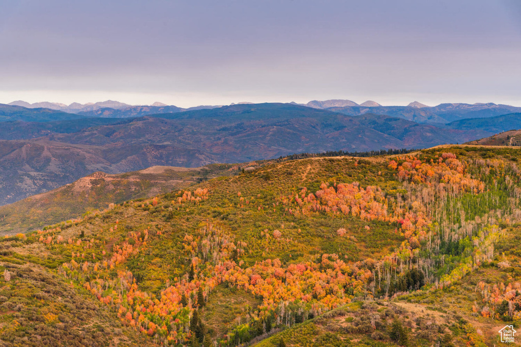 Property view of mountains featuring a wooded view