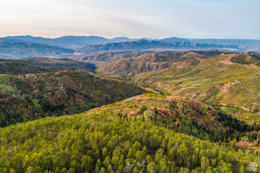 Property view of mountains featuring a view of trees