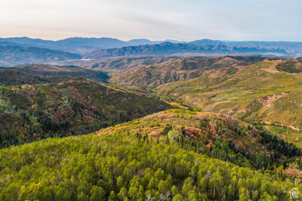 View of mountain feature featuring a view of trees