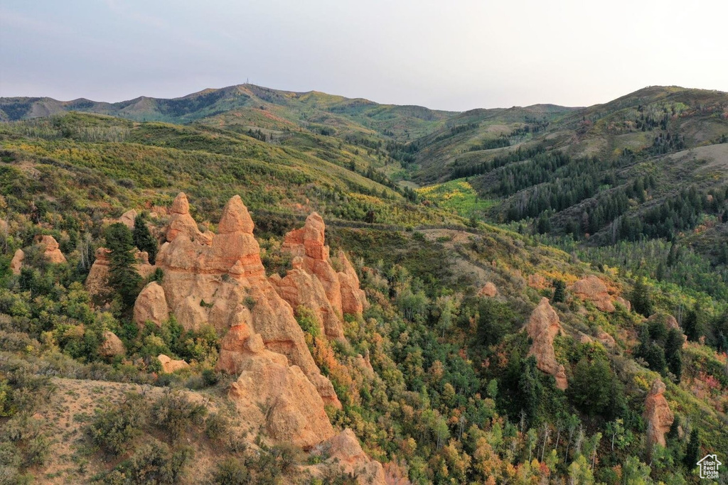 Mountain view with a forest view