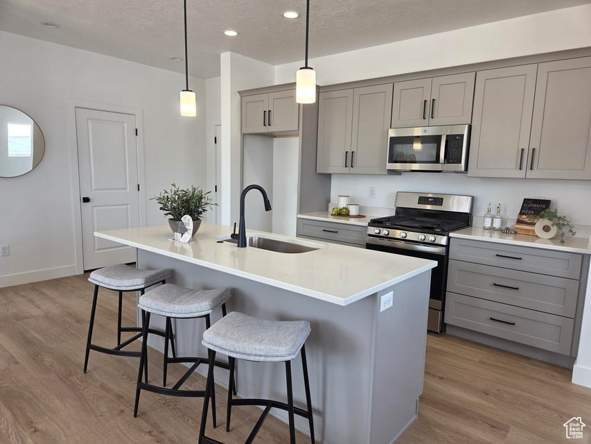 Kitchen with appliances with stainless steel finishes, gray cabinets, wood finished floors, and a sink