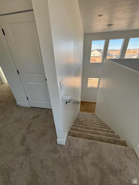 Stairway with carpet floors and baseboards