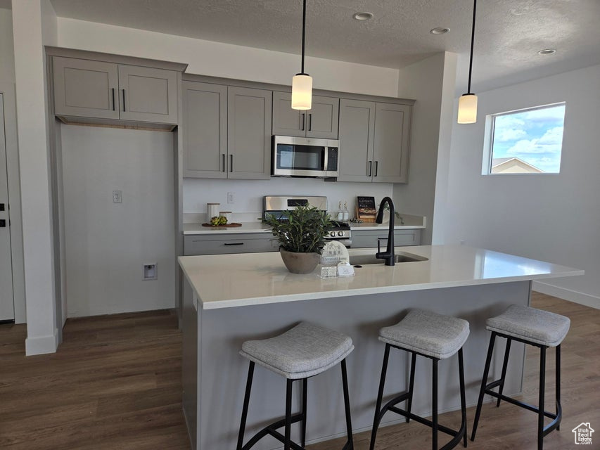 Kitchen with appliances with stainless steel finishes, gray cabinetry, a textured ceiling, dark wood-style flooring, and an island with sink
