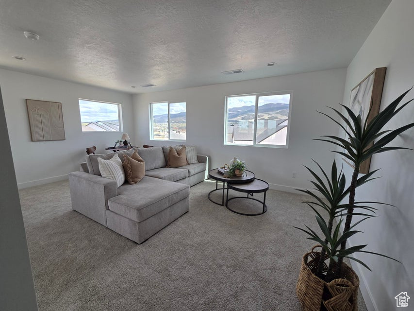Living room featuring a textured ceiling, baseboards, visible vents, and carpet floors