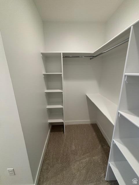 Spacious closet with carpet floors