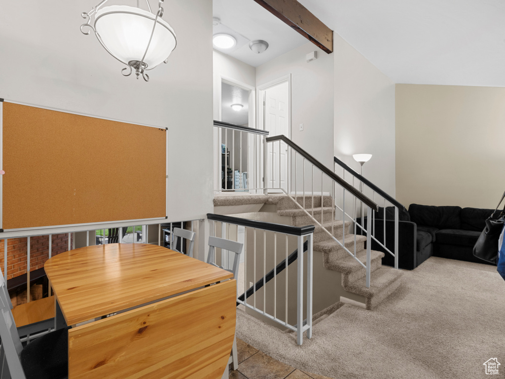 Staircase featuring carpet floors