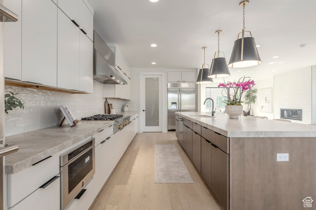 Kitchen featuring modern cabinets, light wood finished floors, a sink, wall chimney range hood, and stainless steel appliances