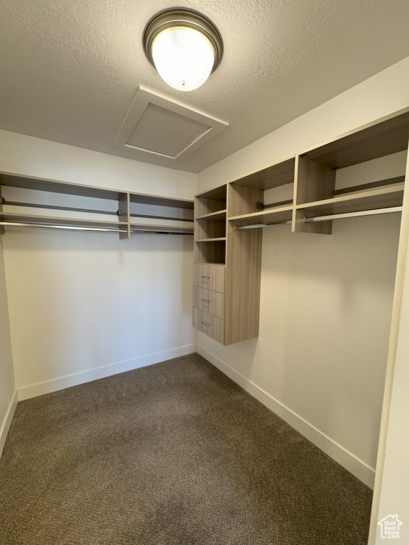 Spacious closet featuring dark colored carpet and attic access