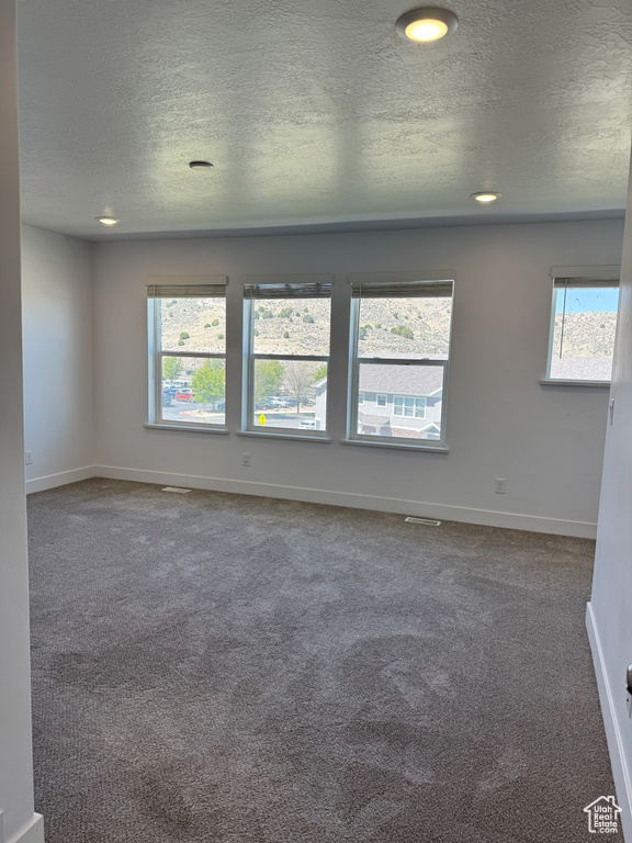 Carpeted empty room featuring a wealth of natural light, baseboards, and a textured ceiling