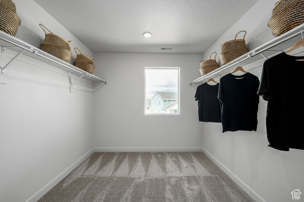 Walk in closet with visible vents and carpet