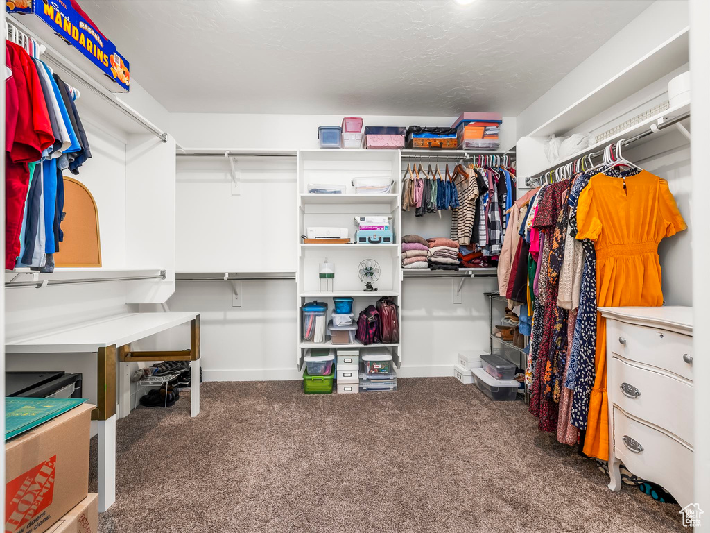 Walk in closet with carpet