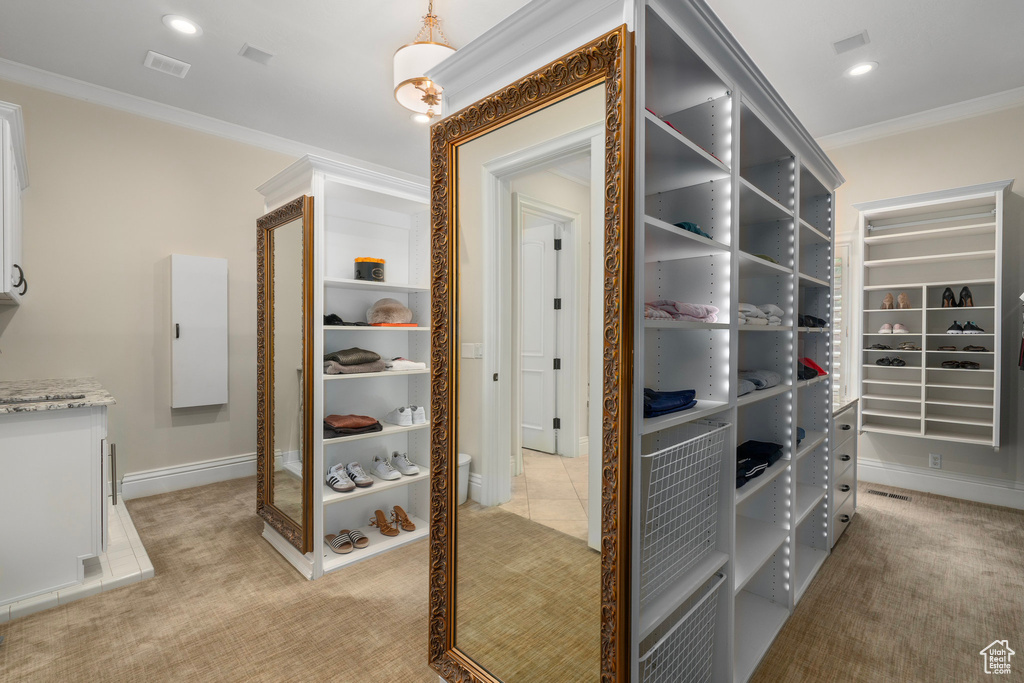 Spacious closet featuring visible vents and light carpet