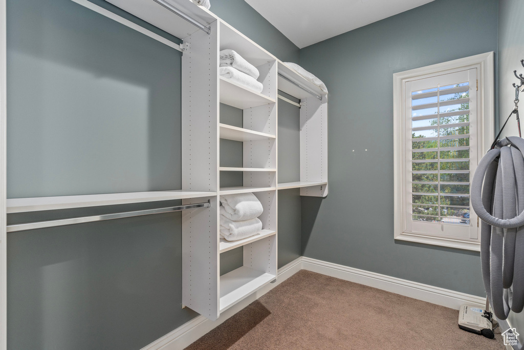 Spacious closet featuring carpet