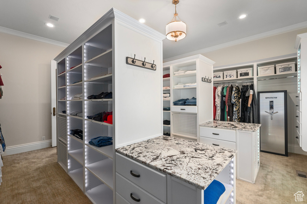Spacious closet featuring light carpet and visible vents