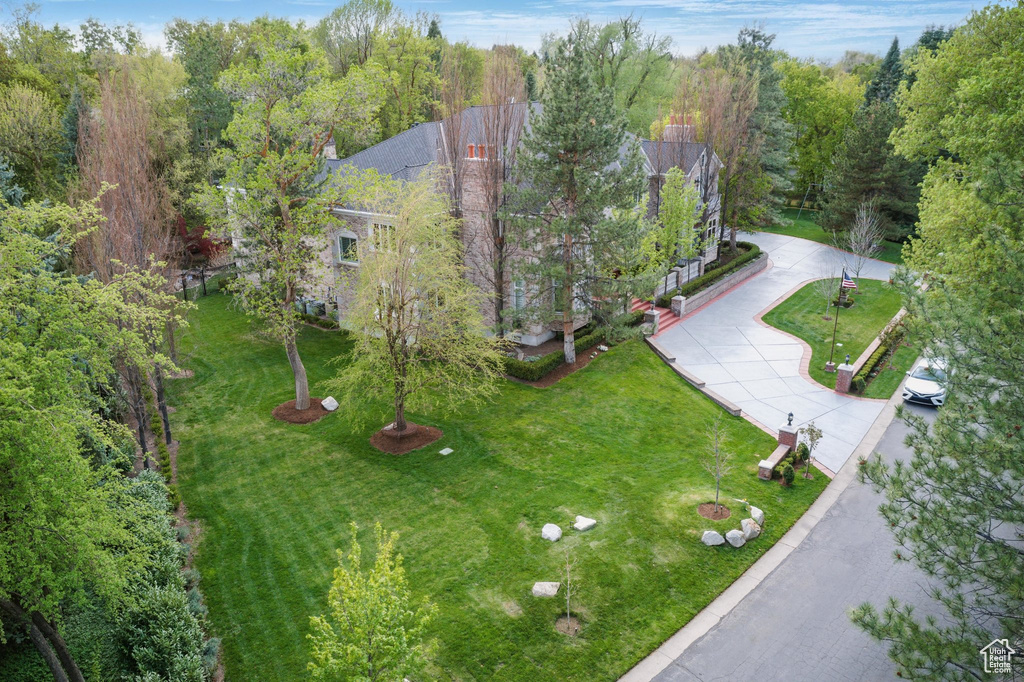 Drone / aerial view featuring a view of trees