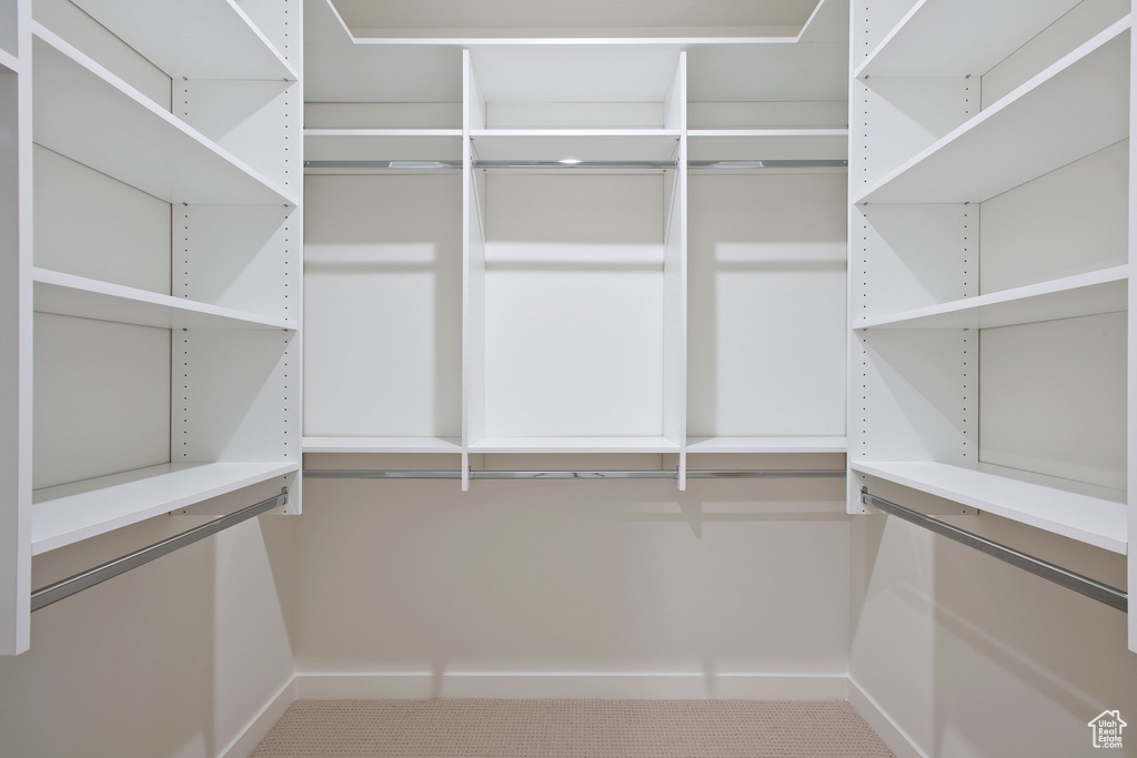 Spacious closet with carpet flooring